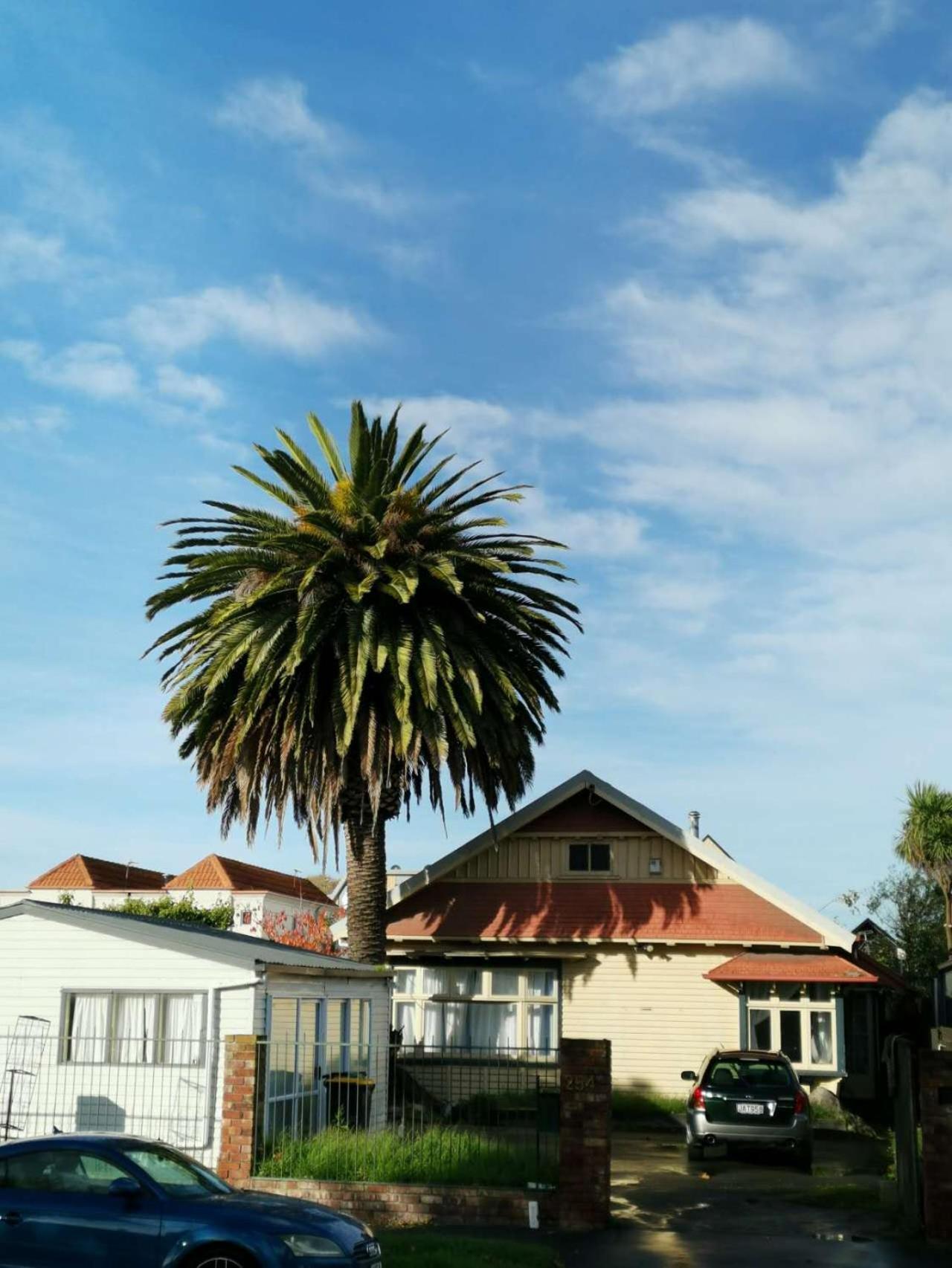 Christchurch Cbd Backpacker2 エクステリア 写真